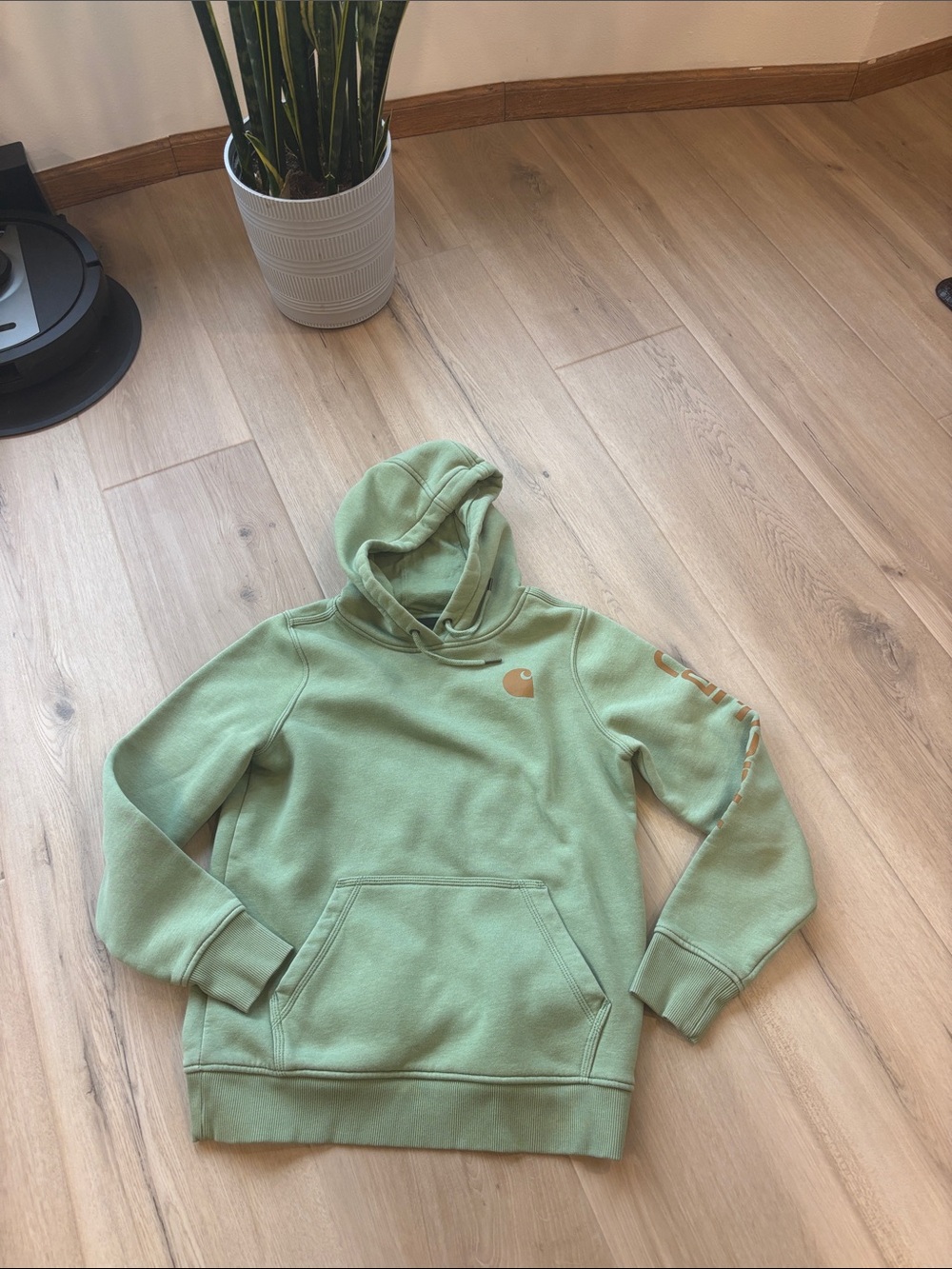 🦆Beautiful Sage Green Carhartt Hoodie🦆